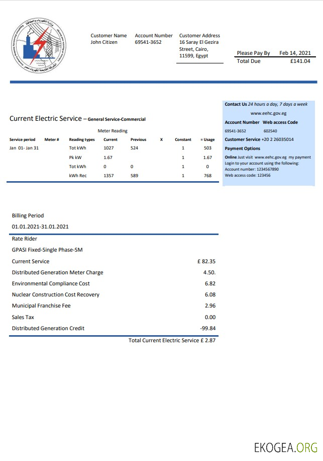 Egypt Egyptian Electricity utility bill template in Word and PDF format